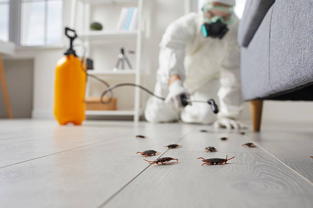 Trusted Emergency Pest Control service in Huntington Park, CA - Nex Pest Control