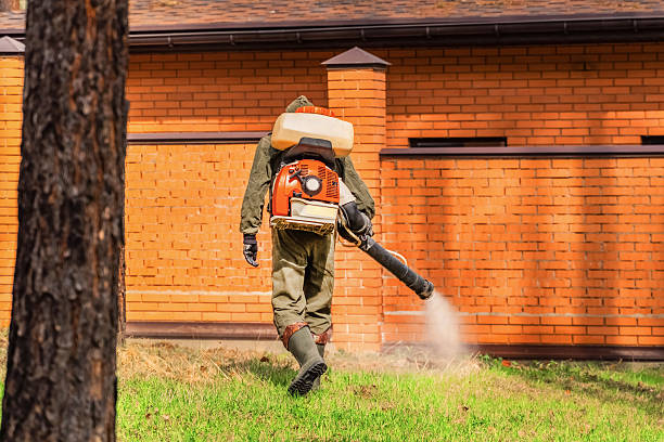 Trusted Bed Bug Control service in Huntington Park, CA - Nex Pest Control